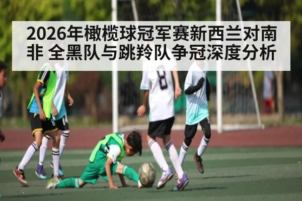 2026年橄榄球冠军赛新西兰对南非 全黑队与跳羚队争冠深度分析 | kaiyun