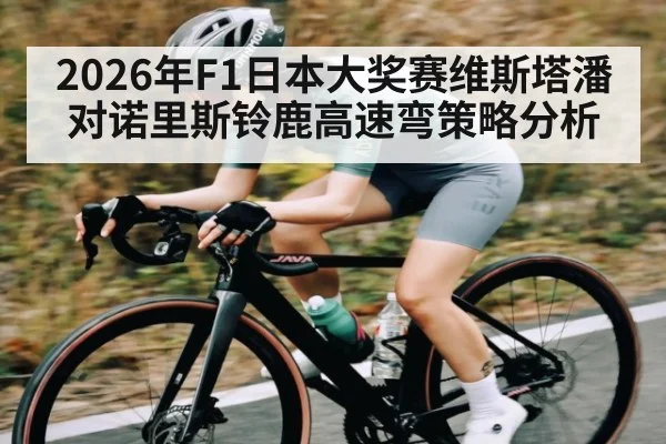 2026年F1日本大奖赛维斯塔潘对诺里斯铃鹿高速弯策略分析